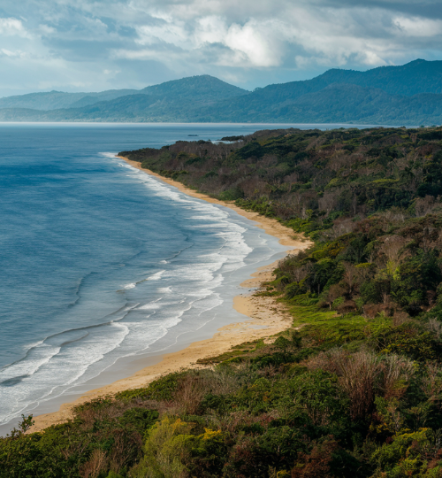 portafolio ambiental (1)