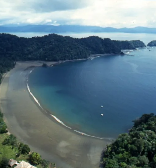 portafolio ambiental